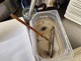 a bowl of ice cream with a spoon in it on the counter