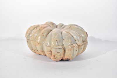 une petite citrouille blanche posée sur une surface blanche