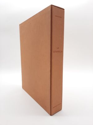 une image représentant un livre marron posé sur une surface blanche