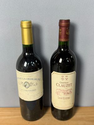 Lot de 2 bouteilles de SAINT ESTEPHE :