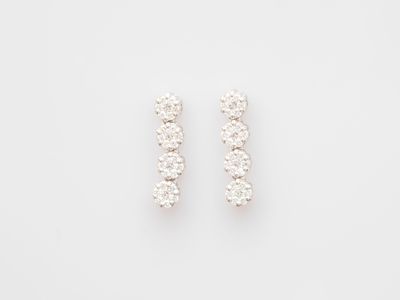 a pair of diamond earrings on a white background