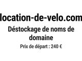 Photo 1/1 du lot