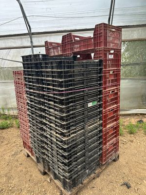 une pile de caisses dans une serre remplie de terre