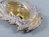 a silver and gold brooch with a horse on it