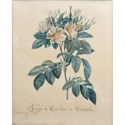 une peinture représentant une fleur blanche avec des feuilles vertes sur un fond beige