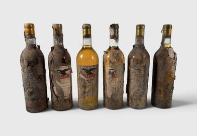 six bouteilles d'alcool sont alignées sur une surface blanche