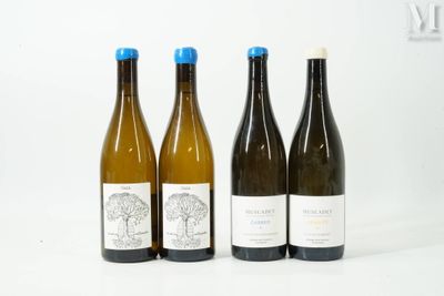 trois bouteilles de vin posées les unes à côté des autres sur une surface blanche