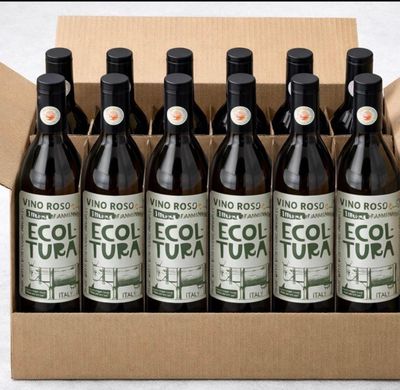 Lot de 12 bouteilles de 1 L de rosé d Italie 13,5%