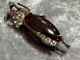 an image of a close up of a beetle on a cloth