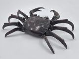 a crab that is sitting on a white surface