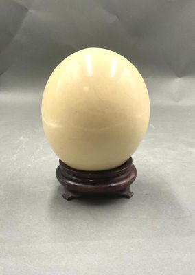 Oeuf d'autruche sur un socle en bois.