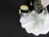 two birds that are sitting on top of a vase