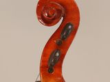 a close up of the back of a violin with a long neck