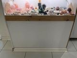 a fish tank that has shells in it on the counter