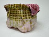 a green and pink vase with a pink flower in it