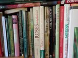 many books that are on a book shelf together