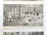 deux vieilles photos en noir et blanc représentant des chevaux et des calèches dans un parc