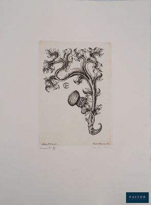 un dessin en noir et blanc représentant une fleur sur laquelle est posé un papillon