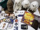 several stuffed animals are sitting on a table with books and other items