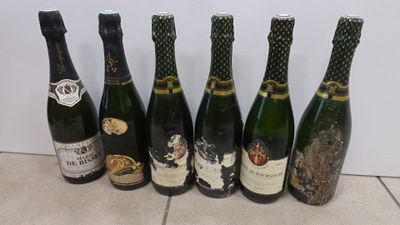 six bottles of wine are lined up on a tile floor