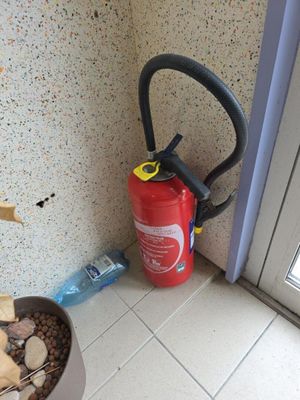 a fire extinguisor next to a potted plant