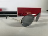 christian dior sunglasses with silver frame and black lens