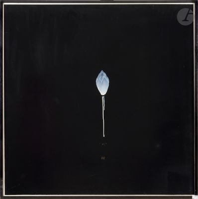 une photo en noir et blanc d'une seule fleur sur fond noir