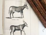a book with a picture of a deer and a goat on it