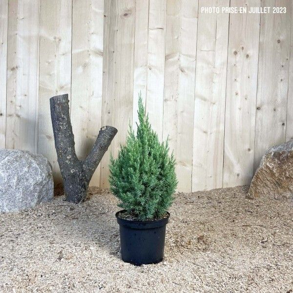 Destockage & Invendus