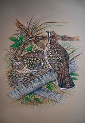 Ecole moderne Oiseaux branchés