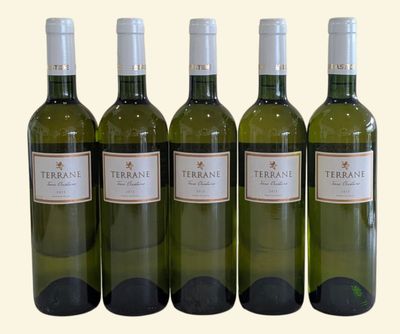 four bottles of white wine are lined up in a row
