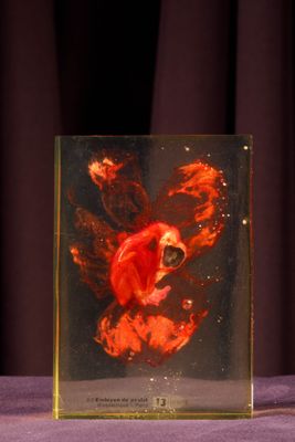 a picture of a red heart in a glass box