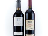 deux bouteilles de vin rouge posées l'une à côté de l'autre sur une surface blanche