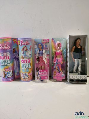 Plusieurs poupées Barbie sont alignées sur une étagère