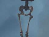 a bronze statue of a skeleton holding a baseball glove