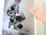Photo 47/50 du lot