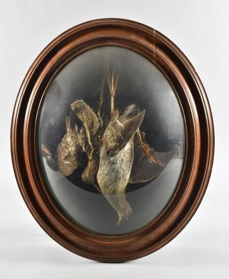 la photo d'une photo représentant deux oiseaux dans un cadre