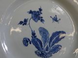 a blue and white plate with a flower design on it