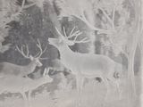 a glass block with a picture of a deer and a deer in it
