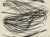 an image of a black and white drawing of a bunch of hair