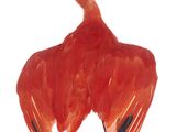 an image of a sculpture of a red bird on a black base