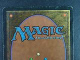 the back of a magic the gathering trading card with a picture of a cat