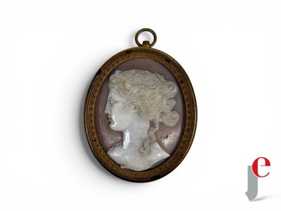 l'image d'un portrait représentant le profil d'une femme dans un cadre doré
