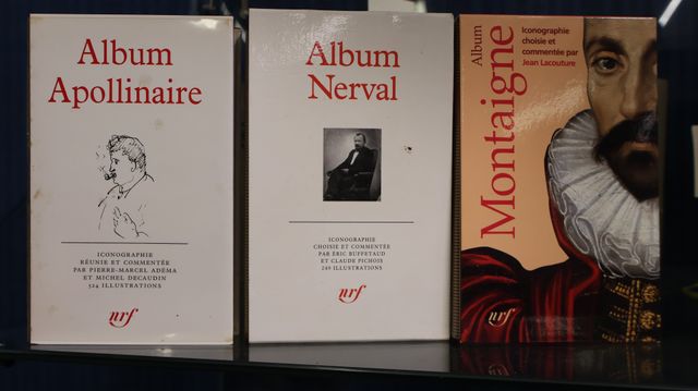 La Pléiade : Album NERVAL, Album APOLLINAIRE, Album MONTAIGNE. 