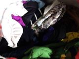 a basket full of clothes that is sitting on the floor