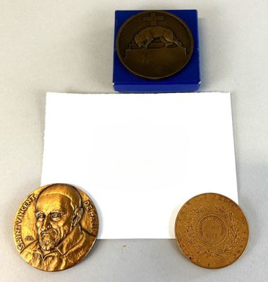 une image représentant une médaille d'or et une pièce d'or sur un fond blanc