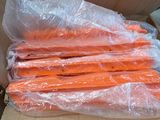 boxes of carrots are wrapped in plastic and ready to be delivered
