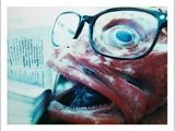une photo d'un poisson avec une paire de lunettes sur le nez