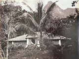 a black and white photo of a house in the woods