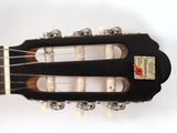 a close up of a guitar neck with a label on it